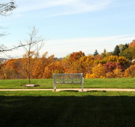 Outside Fall Foliage