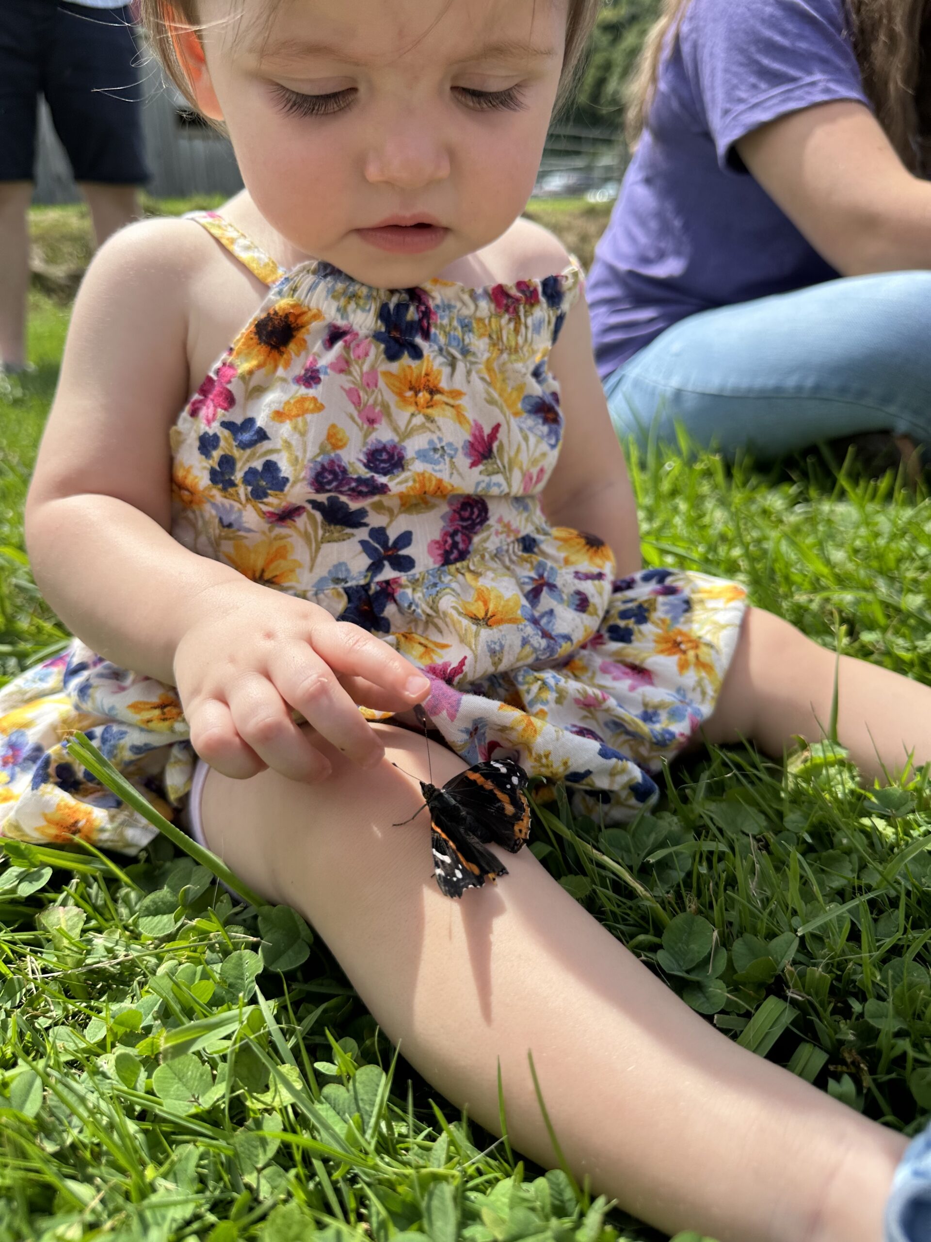 Child participant with butterfly